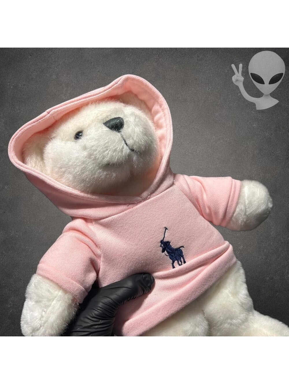 Ralph Lauren The Romance Bear Plush White Teddy Pink Big Pony Hoodie 14